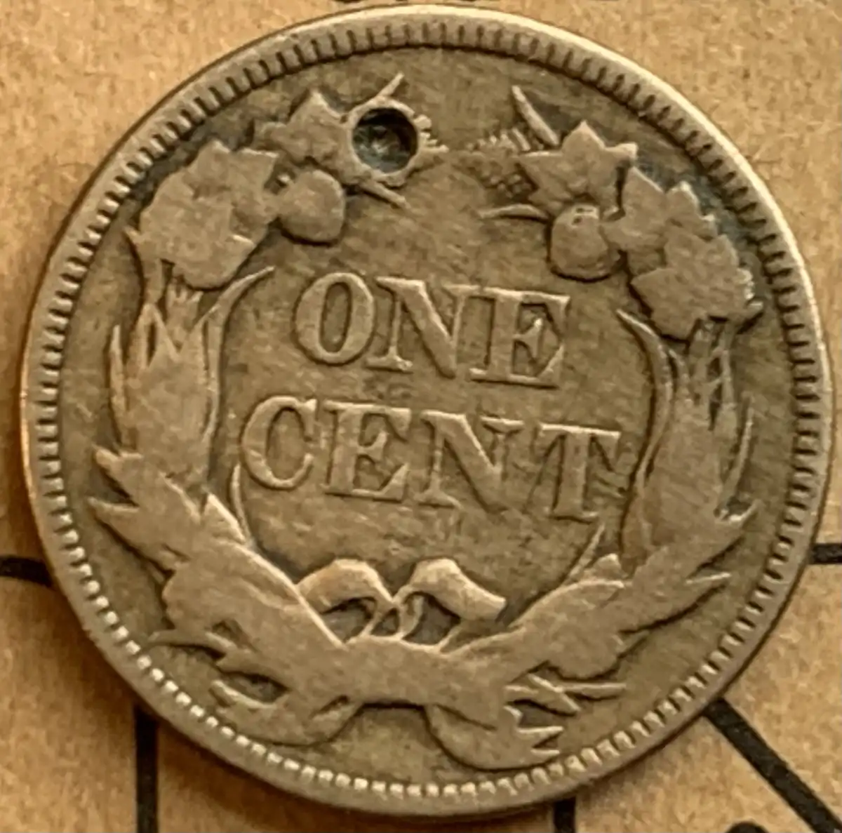 Free-1857-Flying-Eagle-Cent-Thank-You,-Brandmeister!